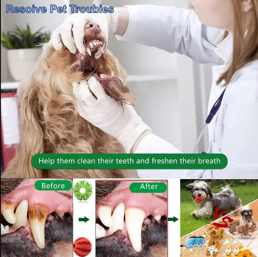 1PC Interactive Elastic Dog Ball Toy – Soft Rubber Chew, Tooth Cleaning & Treat Dispenser for Small