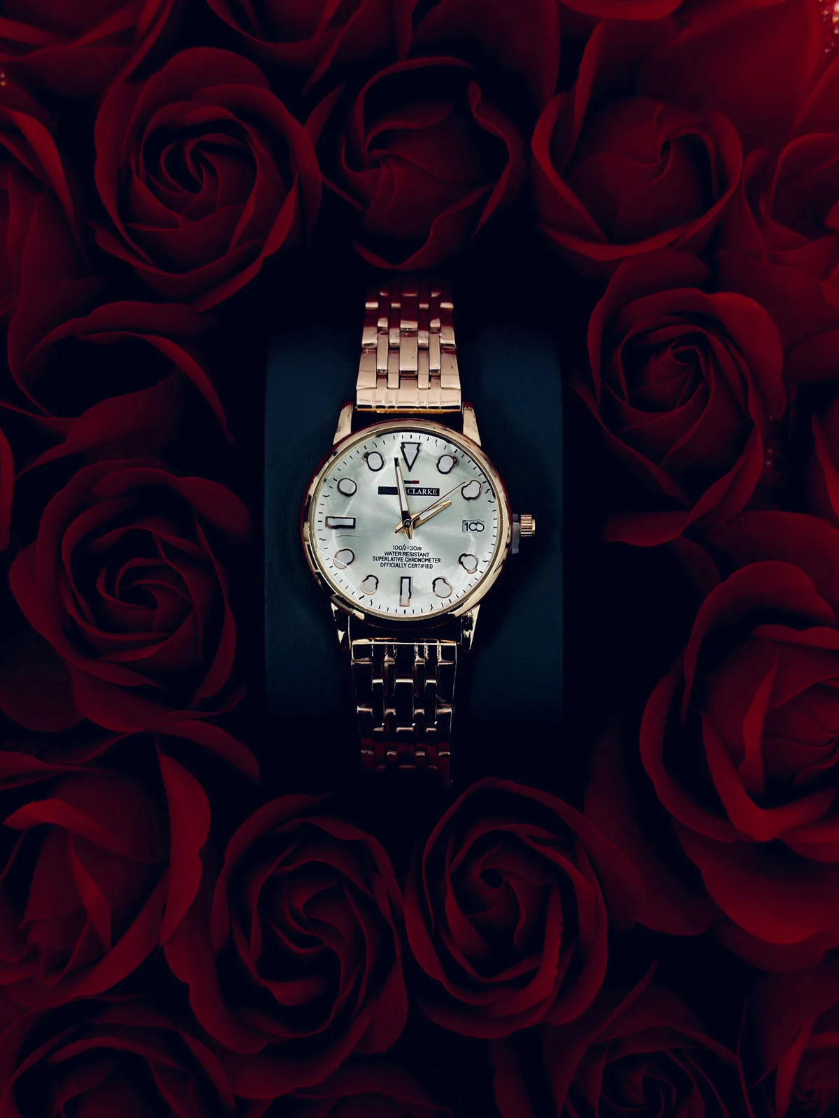 LOUIS CLARKE Ladies Watch with Flower Gift Box