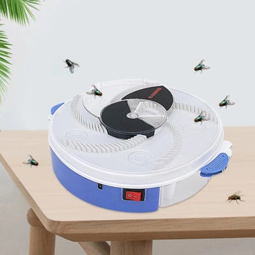 Fly Catcher