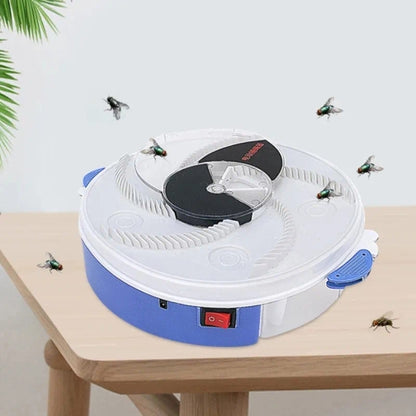 Fly Catcher