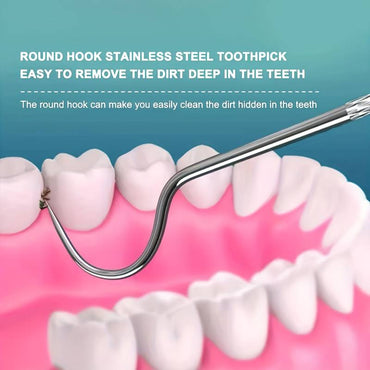 6Pcs Stainless Steel Toothpick Set – Reusable Dental Cleaning & Flossing Tools with Portable Storage