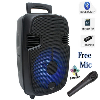 Portable Bass Speaker Bluetooth TF/USB/AUX/led Flashing Lights