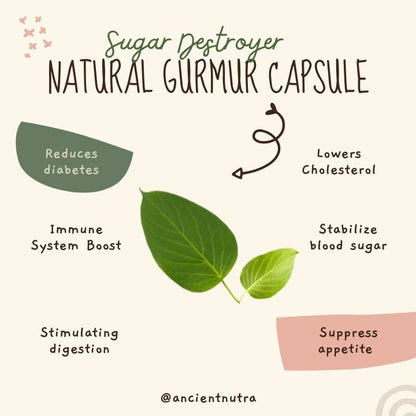 Gurmar (Masbedda) මස්බැද්ධ - 60 capsules