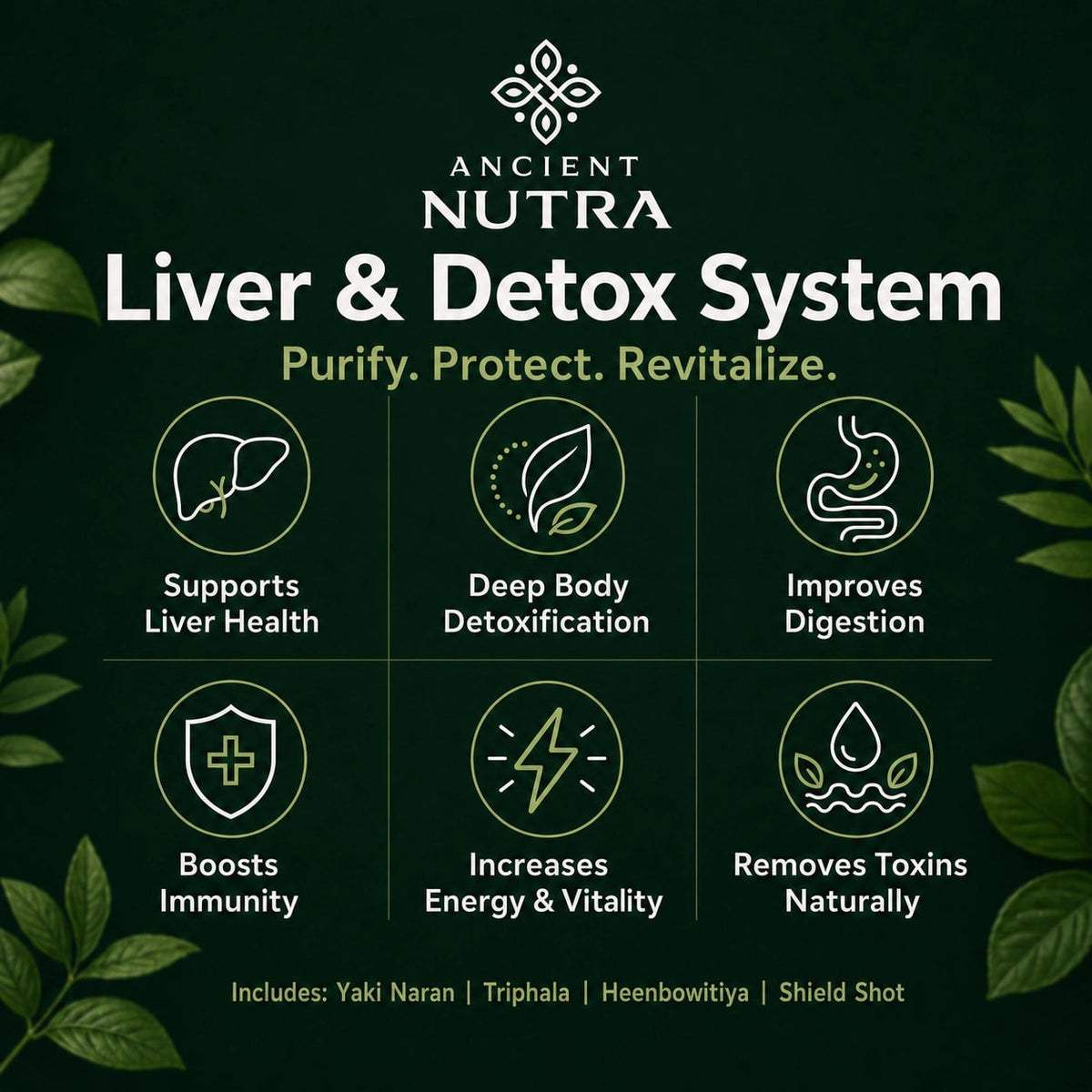 Liver & Detox System