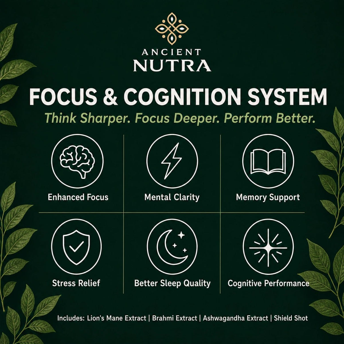 Focus & Cognition System