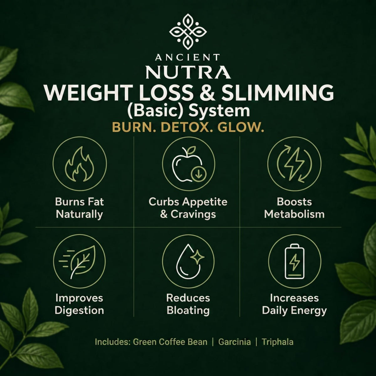Weight Loss & Slimming Essentials System